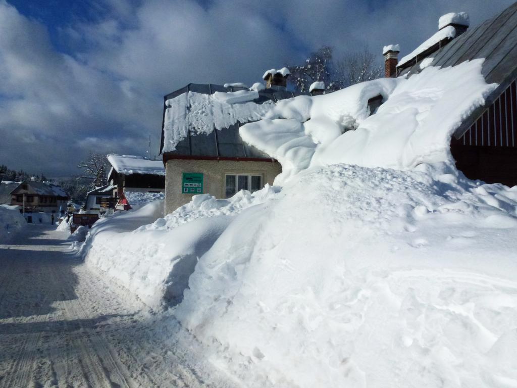 Penzion Pod Mustky Hotel Harrachov Eksteriør billede